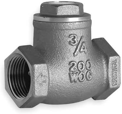 Swing Check Valve Brass 2 Inch FNPT