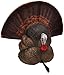 Flextone Hunting Lightweight Ultra Realistic Lifelike Plastic Outdoor Thunder Creeper Gobbler Turkey Decoy