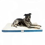 Simmons Beautyrest Thera Bed Orthopedic Memory Foam Dog Bed and Kennel / Crate Mat