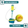 Pro All Surface SwingBall