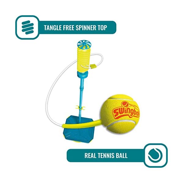 Pro All Surface SwingBall
