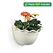 T4U Resin Wall Hanging Planter Beige Small Set of 4, Wave Edge Pottery Style Plastic Flowers Pot for Home Office Garden Porch Wall Decoration Indoor Outdoor Best Giftthumb 4