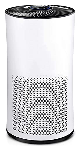 Air Purifier for Home Bedroom Office Desktop Pet Room Air Cleaner for Car with True HEPA Filters and Silence white