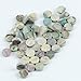 Estone 50 Pieces 6mm Colorful Abalone Inlay Material Dots Guitar Parts Abalone Inlay
