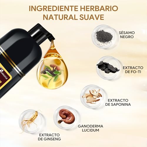 Dark Brown Hair Dye Shampoo 3 in 1, Shampoo para Canas con Tinte, Champú para Teñir el Cabello Marrón Oscuro, Champú Tinte Cubre Canas para Mujer y Hombres (500ML)