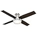Hunter Fan Company 59241 Hunter Dempsey Indoor Low Profile Ceiling Fan with LED Light and Remote Control, 52
