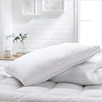 Basic Beyond Goose Down Feather Pillow 2 Pack Luxury Gusseted