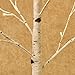 Hairui Lighted Birch Tree Plug in 4FT 72 LED White Twig Tree with Lights for Thanksgiving Christmas Room Decorations Indoor Outdoor