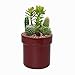 SafeInside 4202 Flower Pot Diversion Safe with Key Lock, Marsala