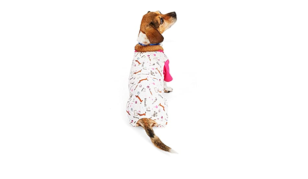 petco pajamas