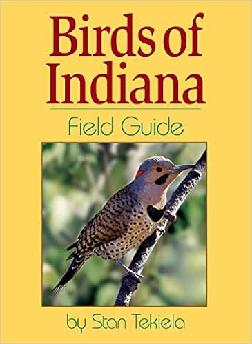 Birds Of Indiana Field Guide Stan Tekiela 9781885061904 Amazon