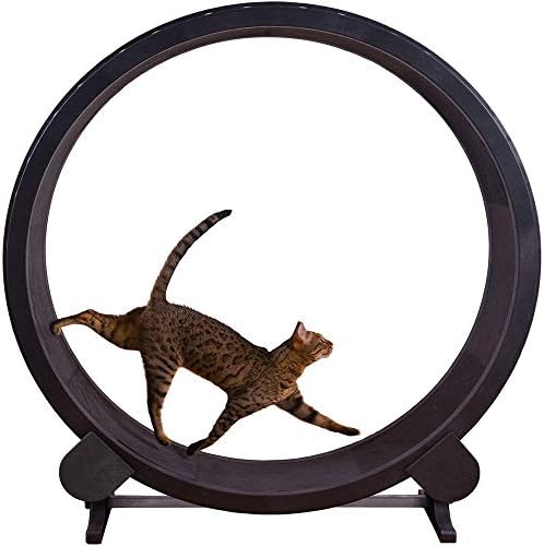 Qnmm Cat Exercice Roue Chat Escalade Cadre Jouet Pour Chat Chat Litiere Chat Meubles Rouleau Cat Tapis Roulant Cat Roue De Course Diametre 1 2 Metres Amazon Fr Cuisine Maison