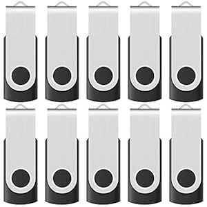 Enfain 16GB USB 2.0 Flash Memory Stick Drive Swivel Thumb Drives Bulk 10 Pack Black, Portable Data Storage for Universal…
