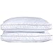 puredown Natural Goose Down Feather Pillows for Sleeping Down Pillow 100% Cotton Pillow Cover Downproof King Set of 2 primary