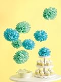 Martha Stewart Crafts Pom Poms, Medium Blue