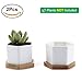 T4U Small White Succulent Planter Pots with Bamboo Tray Hexagon Set of 2, Geometric Ceramic Cactus Plant Holder, Succulent Plant Gifts for Gardener Women Coworker, Home Office Table Desk Decoration