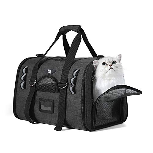 Softsided Cat Carrier