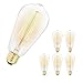 6 Pack Vintage Edison Light Bulbs, 60W E26/E27 Base Dimmable Replacement Light Bulbs for Wall Sconces Lights, Antique Squirrel Cage Lights, Pendant Island Ceiling Chandelier Light Lamps, Amber Warm