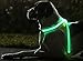ZNFSZ - Multicolor LED Illuminated, Reflective Dog Harness (X-Large)