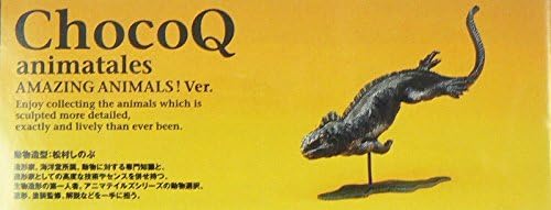 Choco Q animal bizarre K10 marine iguana (Espanola Island)