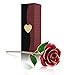 OUTAD Rose Flower, Best Gift for Valentine's Day, Mother's Day, Anniversary, Birthday Gift, Gift for Lover Mother Girlfriend, 24k Golden Plated Rose in Gift Box Red