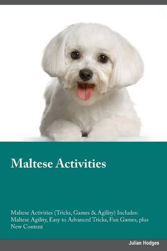 maltese agility
