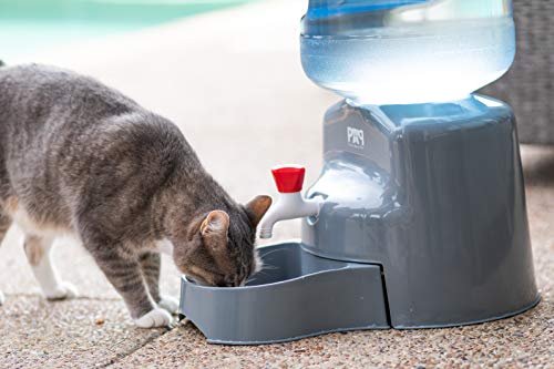 5 gallon pet water dispenser