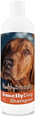 redbone coonhound hypoallergenic