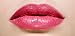 Luxury Lipstick Gift Set 5pcs. MADE IN U.S.A.
