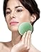 Konjac Sponge (3 Pack) - Facial Sponges - Hemisphere Shape - Green Tea - The Beauty Shelf