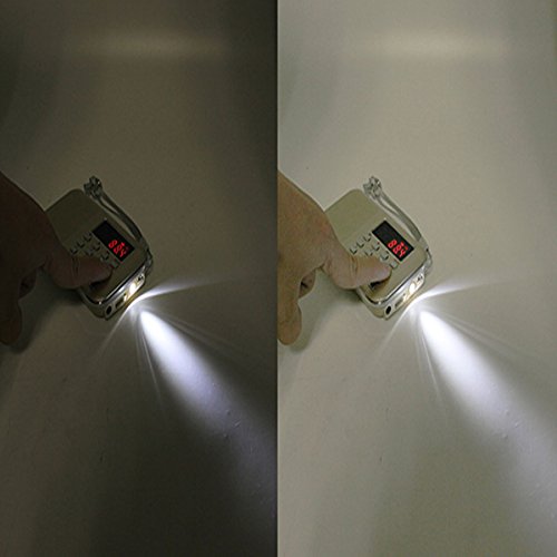 TIVDIO-L-218-Portable-AMFM-Transistor-Radio-with-Mp3-Music-Player-Speaker-Support-Micro-IF-Card-Gold