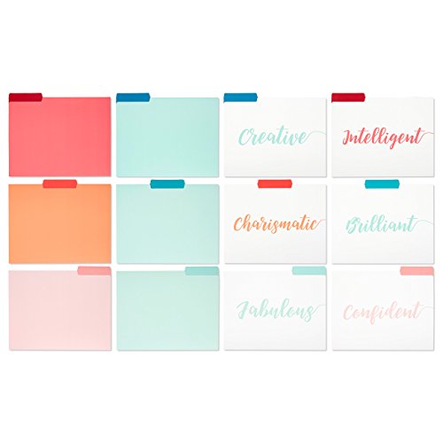 File Folders - 12-Pack Decorative File Folders, 6 Different Colorful File Folders, Solid Color Designer File Folders - Letter Size 1/3 Cut 1/2 Inch Top Memory Tab, 11.5 x 9 Inches