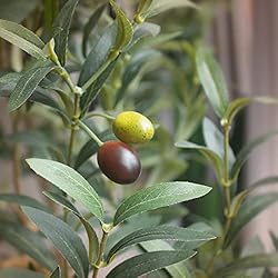 Bellacat Faux Olive Tree 6ft，Olive Trees