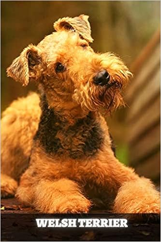 Welsh Terrier Buch