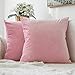 MIULEE Pack of 2 Decorative Velvet Pillow Covers Soft Square Throw Pillow Covers Solid Cushion Covers Bright Pink Pillow Cases for Spring Sofa Bedroom Car 18x18 Inch 45x45 Cm
