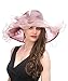 Saferin Lady Tea party Kentucky Derby Church Wedding Dress Church Hat Bridal Shower (SF4-Dark Pink)
