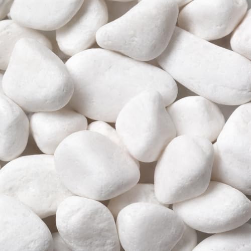 Pedra Branca Dolomita Para Decoração de Vaso Jardim Ornamentais N°2 (2 KG)