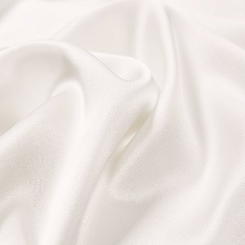 Ravmix 100% Pure Natural Mulberry Silk Pillowcase Queen for Hair and Skin with Hidden Zipper, 21 Momme 600TC Hypoallergenic Soft Breathable Pillow Cover 1pcs (20×30inches, Ivory White)