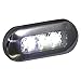 T-H Marine LED-51825-DP LED Oblong Courtesy Lights - White