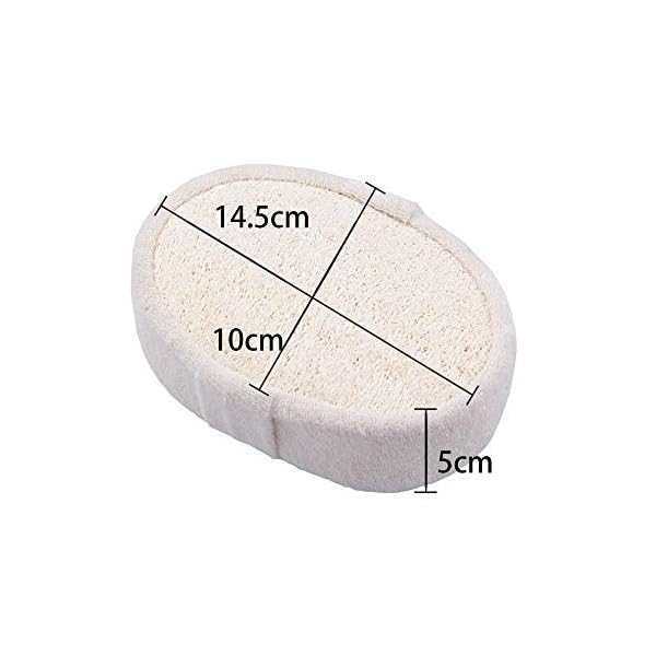 Skystuff-2-Packs-Bath-Shower-Loofah-Sponge-Natural-Loofah-Sponge-Shower-Body-Scruber-Brush-for-Men-Women-Bath-Spa-and-Shower-Thickened-Size-145-cm-x-10-cm-x-5-cm Skystuff 2 Packs Bath Shower Loofah Sponge, Natural Loofah Sponge Shower Body Scruber Brush for Men Women Bath, Spa and…