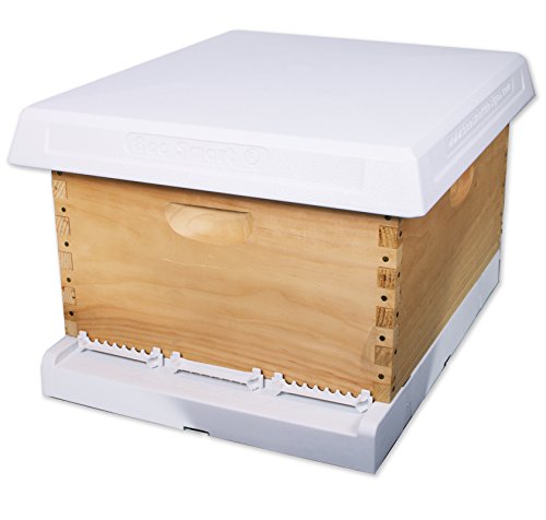 10 Frame Full Hive Kit - Deep With Plastic Frames - Premium Top Cover and Bottom Board