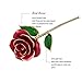 OUTAD Rose Flower, Best Gift for Valentine's Day, Mother's Day, Anniversary, Birthday Gift, Gift for Lover Mother Girlfriend, 24k Golden Plated Rose in Gift Box Red