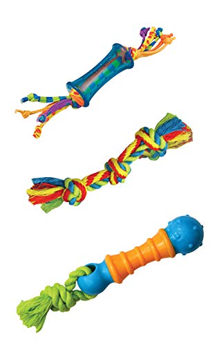 Petstages Dental and Teething Dog Chew Toys