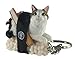 Sushi Cat Clever Idiots Nekozushi Keychain - Blind Box Includes 1 of 5 Collectable Figurines - Authentic Japanese Design Collectable Figurines - (Version 2)