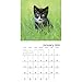 Kittens Wall Calendar (2019)