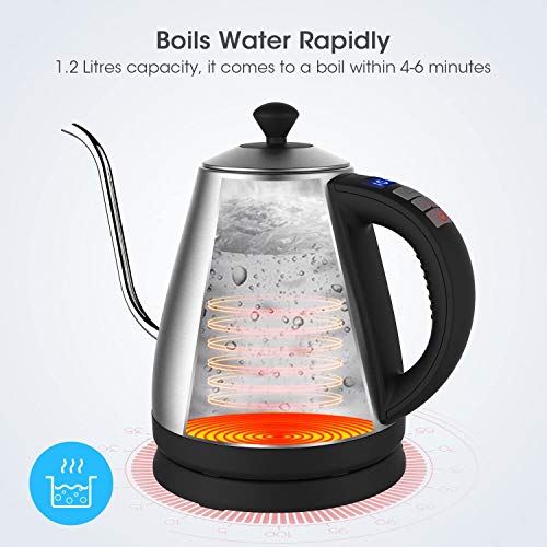 Doctor Hetzner Electric Kettle Gooseneck Electric & Stainless Steel