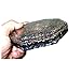 Jet Black Tourmaline Orgone Vastu PlateFree Booklet Jet International Crystal Therapy Energy Generator Crystal Gemstones Unique Rare Science Construction Vedic Astrology