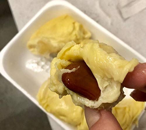 Frozen Durian Monthong - 21oz (Pack of 1)