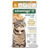 Bayer Advantage 2 Small Cat 2-Pack 5-9# Orange (Pack of 2)