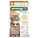 Bayer Advantage 2 Small Cat 2-Pack 5-9# Orange (Pack of 2)